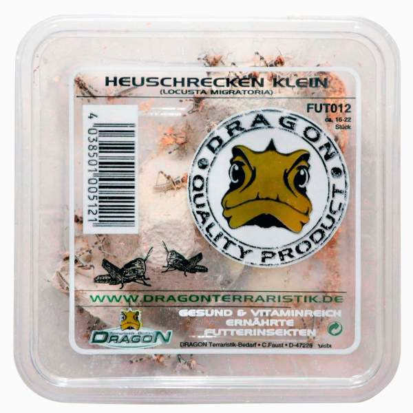 Wüstenheuschrecke